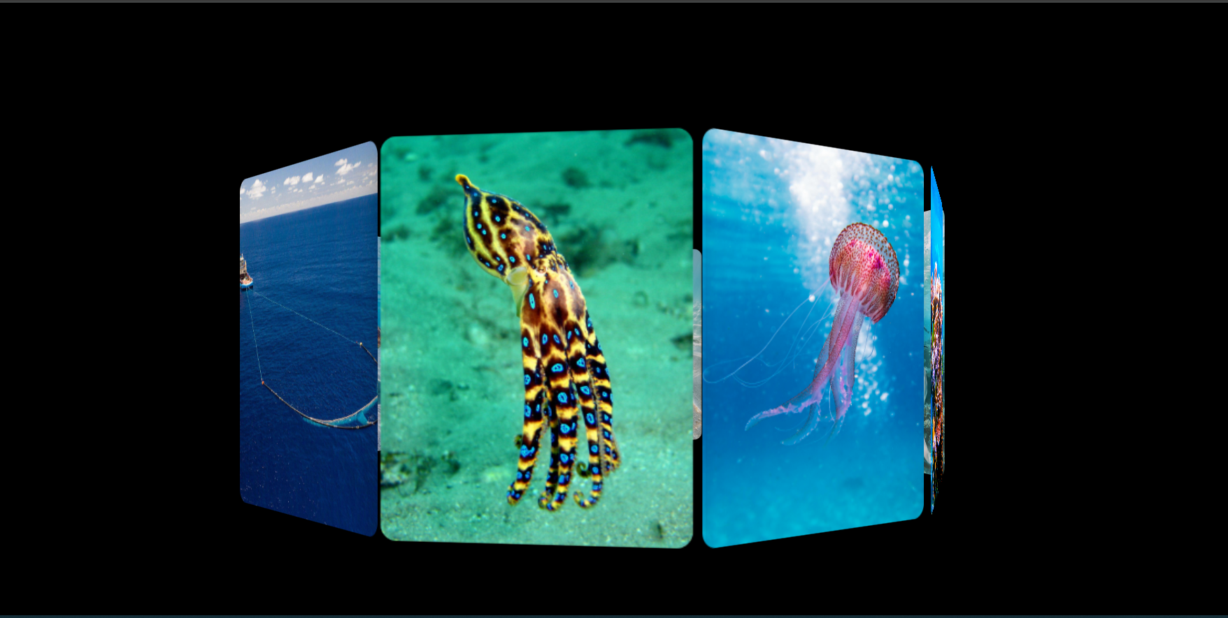 Ocean conservation platform showcase